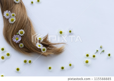 Hair with flowers. On a white background. Hair with flowers. On a white background. 115588885