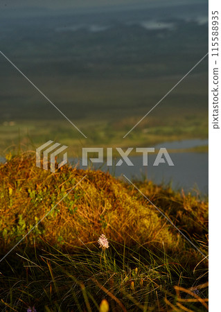 ireland bog land cloudy valley ireland bog land cloudy valley 115588935
