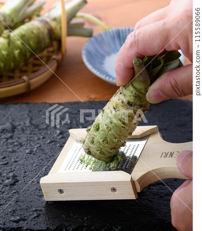 Fresh wasabi grated with a grater. Shizuoka Prefecture-produced genuine wasabi Fresh wasabi grated with a grater. Shizuoka Prefecture-produced genuine wasabi 115589066