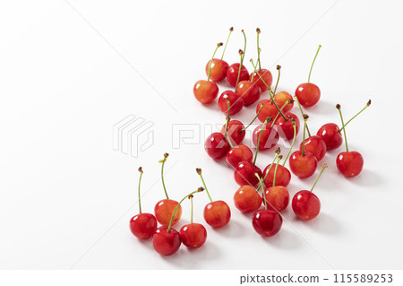 白色背景櫻桃 115589253