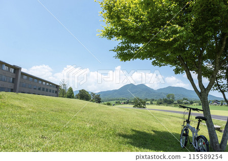 清新的綠意與初夏的騎乘形象（蒜山高原） 115589254