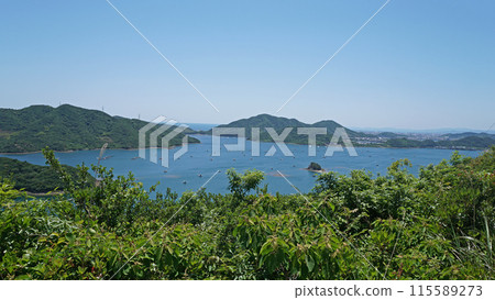 從鳴門天際線看內野海的風景（德島縣鳴門市） 115589273