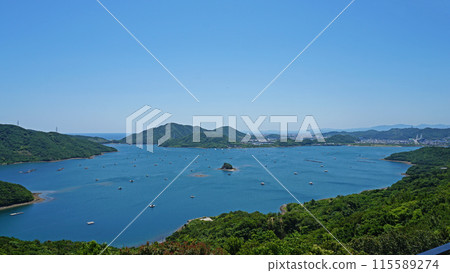 Scenery of the Uchino Sea seen from the Naruto Skyline (Naruto City, Tokushima Prefecture) Scenery of the Uchino Sea seen from the Naruto Skyline (Naruto City, Tokushima Prefecture) 115589274