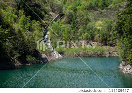 美麗的御曾川水壩魚梯 115589457