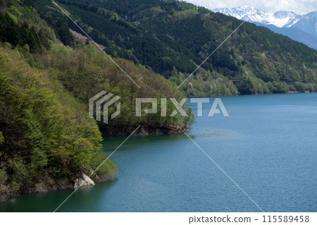 春天的味曾川水壩，美麗的新綠色和湖面 115589458