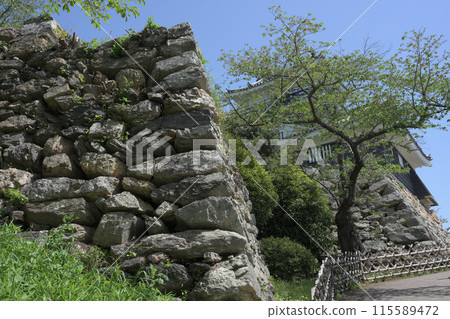 Ishigaki of Hamamatsu Castle Ishigaki of Hamamatsu Castle 115589472