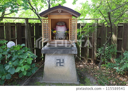 京都市東山區青蓮院門跡院內一景 京都市東山區青蓮院門跡院內一景 115589541