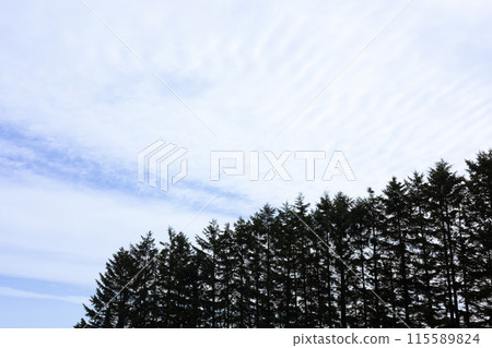 Sky (18) Sky (18) 115589824