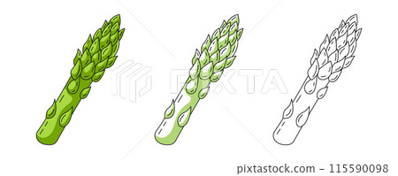 Asparagus, colorful and line icons set. Farm vegetable greens, vector outline icon, monochrome and color. Healthy nutrition, organic food, vegetarian product. For logo, coloring book, sticker, menu 115590098