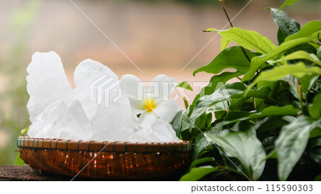 A basket filled with white alum crystals sits on a vibrant green shrub background. A basket filled with white alum crystals sits on a vibrant green shrub background. 115590303