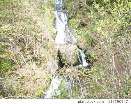 "Kudan Falls" in Hoheikyo "Kudan Falls" in Hoheikyo 115590347