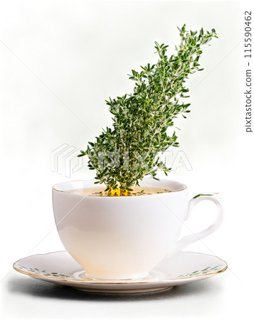 Thyme tea glass teacup tiny leaves on stem light tan infusion antimicrobial 115590462