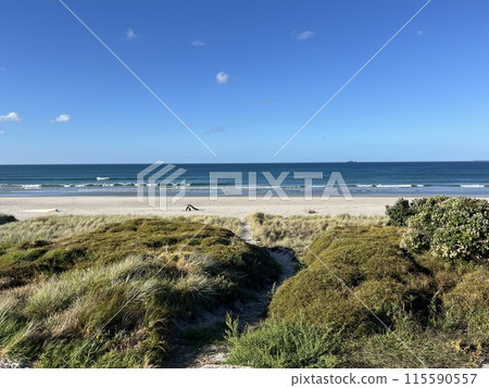 紐西蘭北島芒格努伊山 115590557