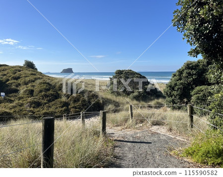 紐西蘭北島芒格努伊山 115590582