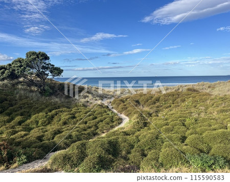 Mount Maunganui, North Island, New Zealand Mount Maunganui, North Island, New Zealand 115590583