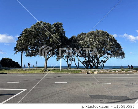 Mount Maunganui, North Island, New Zealand Mount Maunganui, North Island, New Zealand 115590585