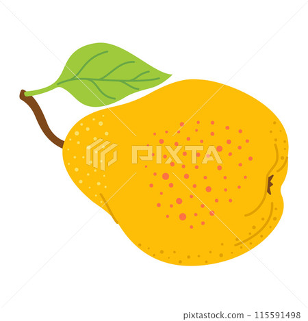 Ripe juicy yellow pear cartoon style. Fresh pear with leaf. Ripe juicy yellow pear cartoon style. Fresh pear with leaf. 115591498