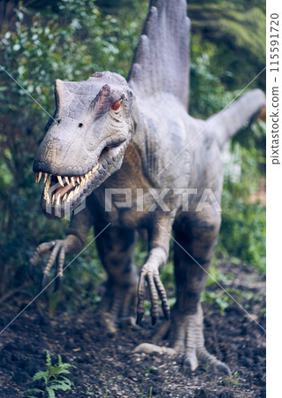 Spinosaurus was a fairly large animal and had large forelimbs armed with large sharp claws. With space to copy. High quality photo 115591720