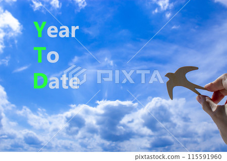 YTD year to date symbol. Concept words YTD year to date on beautiful blue sky clouds background. Wooden bird. Businessman hand. Business YTD year to date concept. Copy space. 115591960
