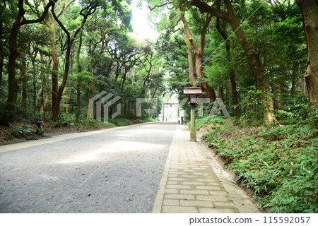 綠色療癒之路 綠色療癒之路 115592057