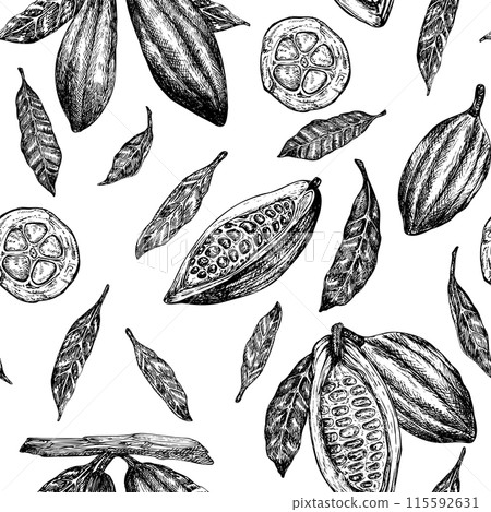 Seamless pattern with cocoa fruit graphic illustration, hand drawn sketch of vegetable, leaves, flowers. Botanical drawing of tropical fruit. Engraving for food packaging design Seamless pattern with cocoa fruit graphic illustration, hand drawn sketch of vegetable, leaves, flowers. Botanical drawing of tropical fruit. Engraving for food packaging design 115592631
