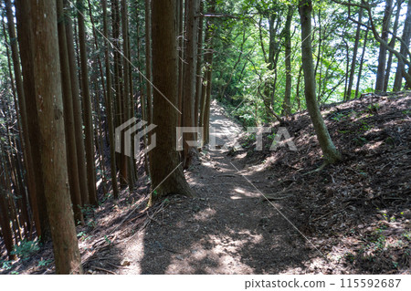 從Bonoori山到蒙特內哥羅、岩竹石山、曾嶽山的山路景色。 從Bonoori山到蒙特內哥羅、岩竹石山、曾嶽山的山路景色。 115592687