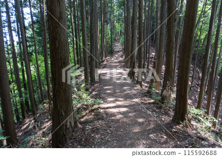從Bonoori山到蒙特內哥羅、岩竹石山、曾嶽山的山路景色。 115592688