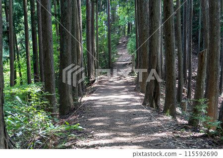 從Bonoori山到蒙特內哥羅、岩竹石山、曾嶽山的山路景色。 從Bonoori山到蒙特內哥羅、岩竹石山、曾嶽山的山路景色。 115592690
