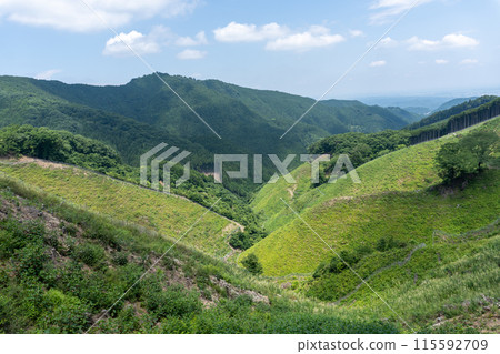 從Bonoori山到蒙特內哥羅、岩竹石山、曾嶽山的山路景色。 115592709