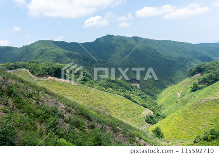 View of the mountain path from Mt. Bonoori to Mt. Kuroyama, Mt. Iwatakeishi, and Mt. Sodake 115592710
