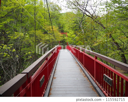 定山溪二見吊橋 115592715