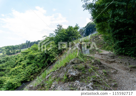 從Bonoori山到蒙特內哥羅、岩竹石山、曾嶽山的山路景色。 115592717