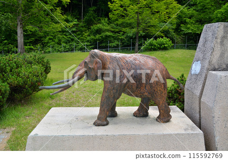 黑姬野尻子停車場的上信越高速公路瑙曼大象 黑姬野尻子停車場的上信越高速公路瑙曼大象 115592769