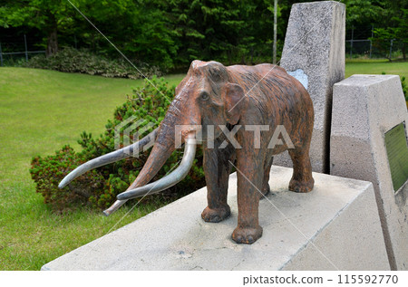 Naumann's elephant at Kurohime Lake Nojiri Parking Area on the Joshinetsu Expressway 115592770