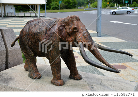 黑姬野尻子停車場的上信越高速公路瑙曼大象 黑姬野尻子停車場的上信越高速公路瑙曼大象 115592771