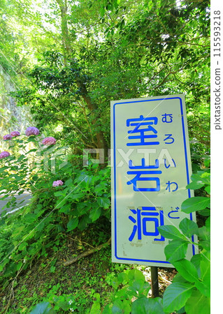 伊豆半島/西伊豆/室岩洞窟 伊豆半島/西伊豆/室岩洞窟 115593218