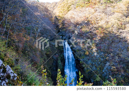 深秋的秋保大瀧(11月,仙台) 深秋的秋保大瀧(11月,仙台) 115593580