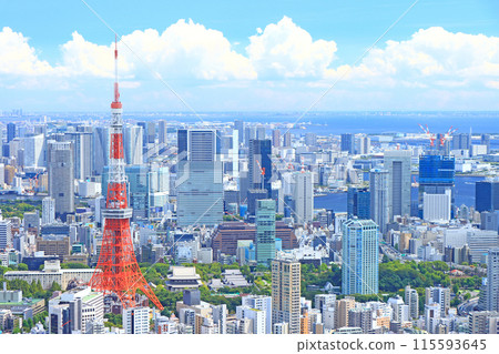 東京鐵塔風景與東京都會風景,東京港區 東京鐵塔風景與東京都會風景,東京港區 115593645