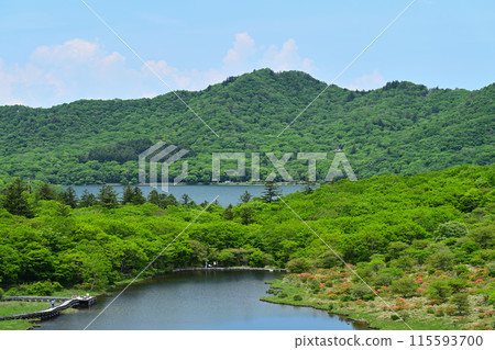 Mount Akagi in early summer: Kakumanbuchi 115593700