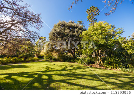 Williamstown Botanic Gardens in Melbourne Australia 115593936