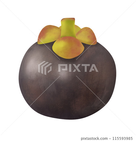 Mangosteen 115593985