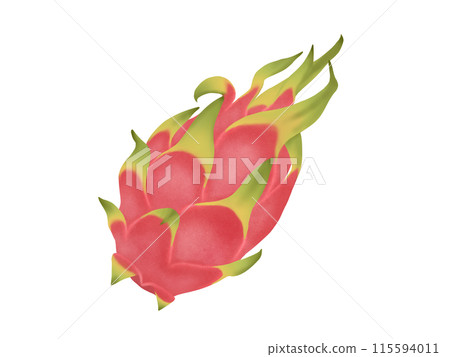 White Pitaya (White Dragon) Dragon Fruit White Pitaya (White Dragon) Dragon Fruit 115594011