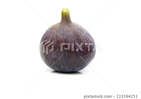 Isolated fig. One fresh fig fruit isolated on white background 1 115594251