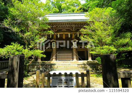 Izu Shirahama Shrine Izu Shirahama Shrine 115594320