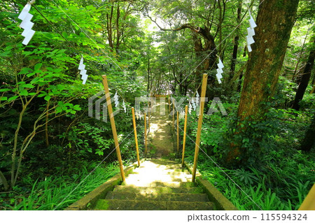 伊豆白濱神社 伊豆白濱神社 115594324