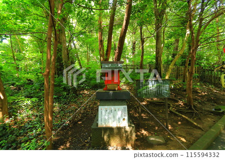 伊豆白濱神社 伊豆白濱神社 115594332