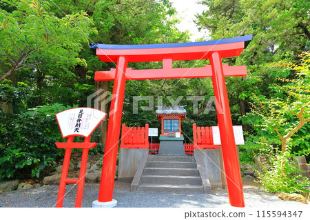 伊豆白濱神社 115594347