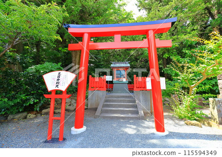 伊豆白濱神社 115594349