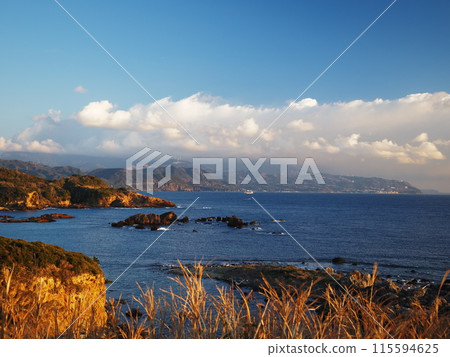 Izu Peninsula coastline 115594625