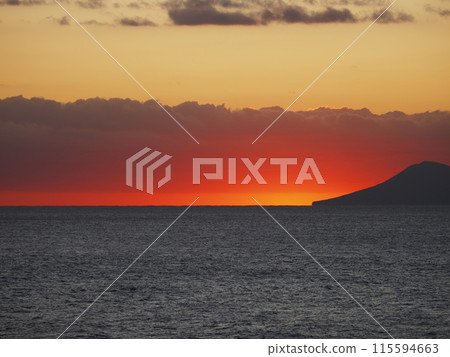 津目崎公園的晨景 115594663